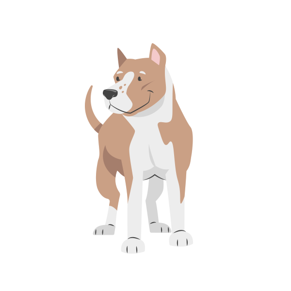 Liderança e Respeito