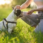 A Importância da Avaliação Comportamental para um Treinamento Eficaz