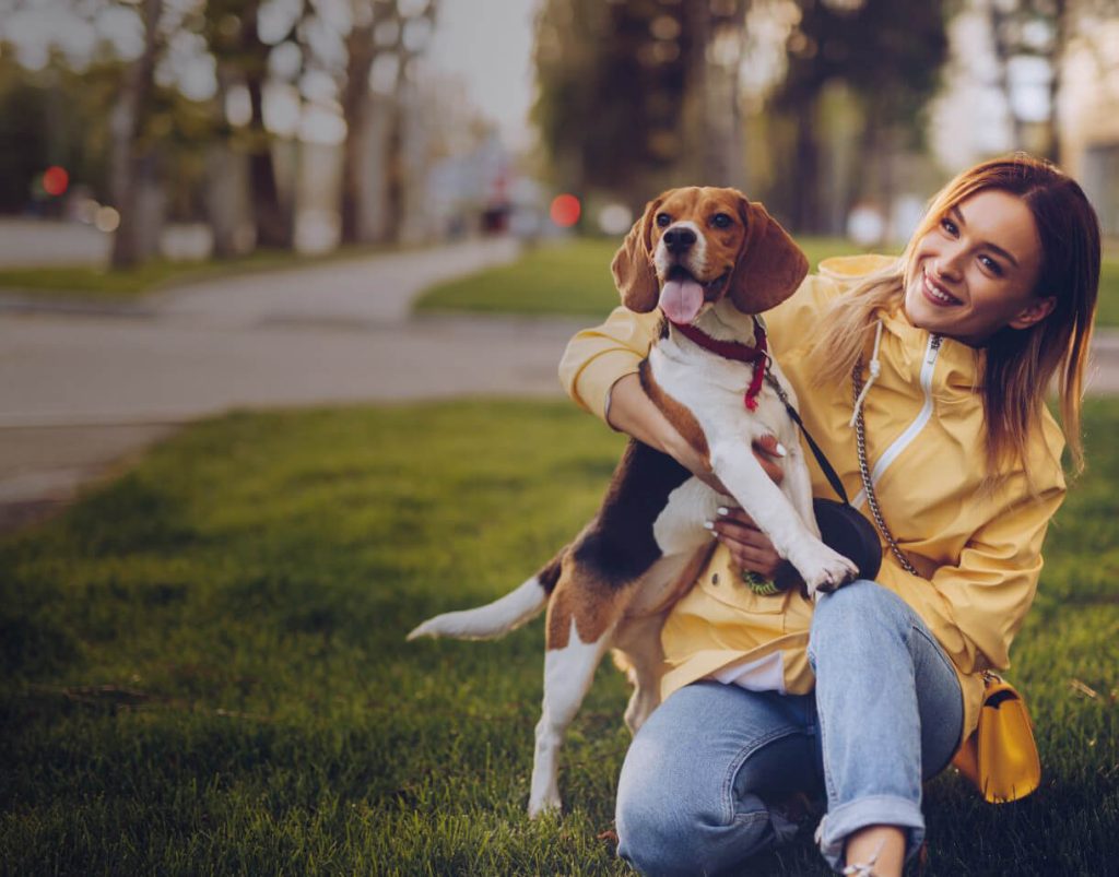 Reforço Positivo: A Chave para um Cão Feliz