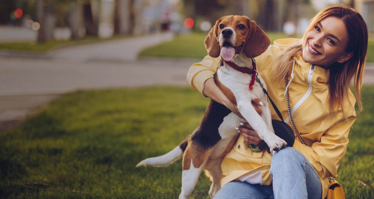 Reforço Positivo: A Chave para um Cão Feliz